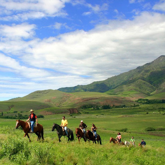 Actividades de Posada La Guadalupe